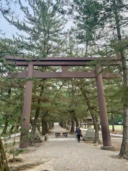 出雲大社(島根県)