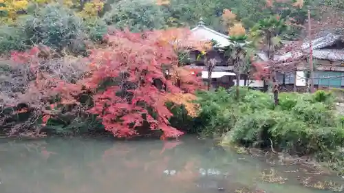 大窪寺の庭園