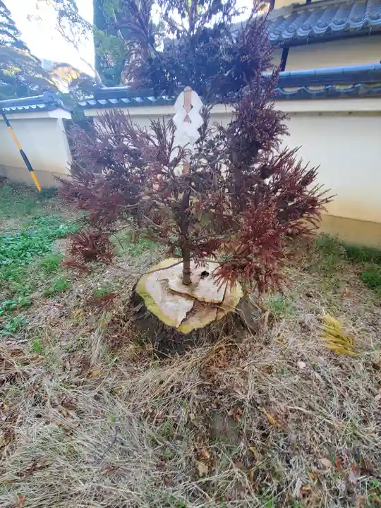 頤氣神社(長野県)