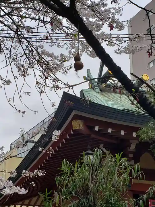 秋葉神社(東京都)