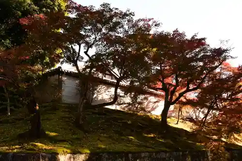 曼殊院門跡(京都府)