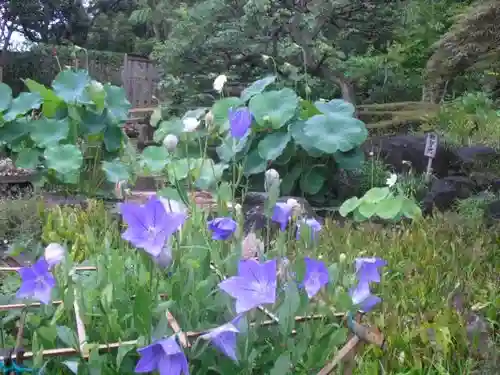 長谷寺のその他建物