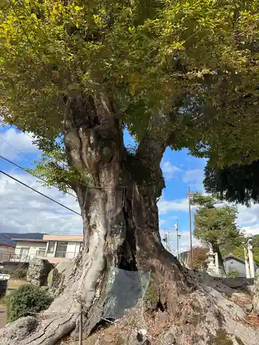 鉛練比古神社(滋賀県)