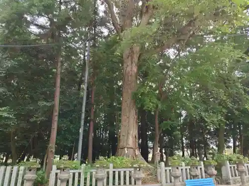 鴨都波神社(奈良県)