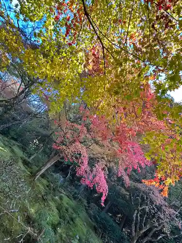 詩仙堂（丈山寺）(京都府)