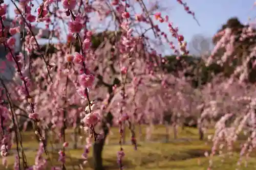 菅原神社(三重県)