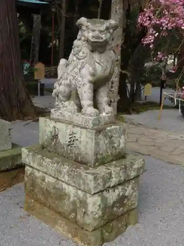 伊豆山神社の狛犬