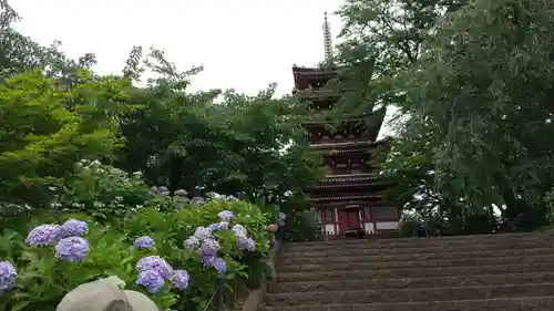 本土寺(千葉県)