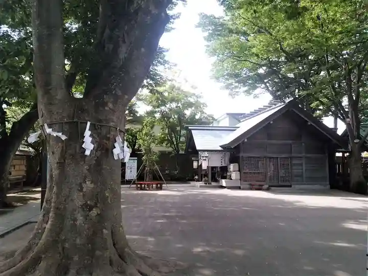 乃木神社(北海道)