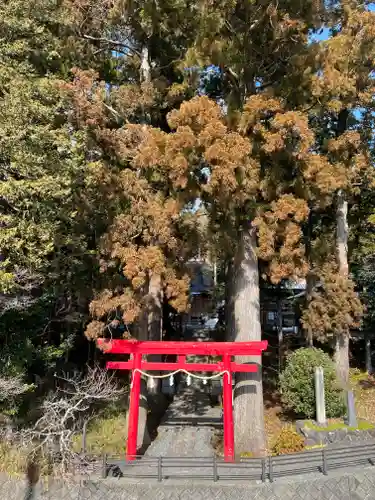 須山浅間神社の鳥居