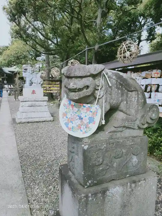 菊田神社の狛犬