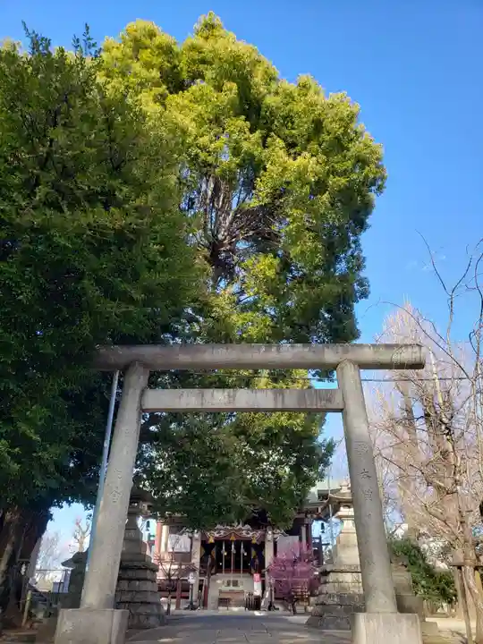 諏訪神社(東京都)