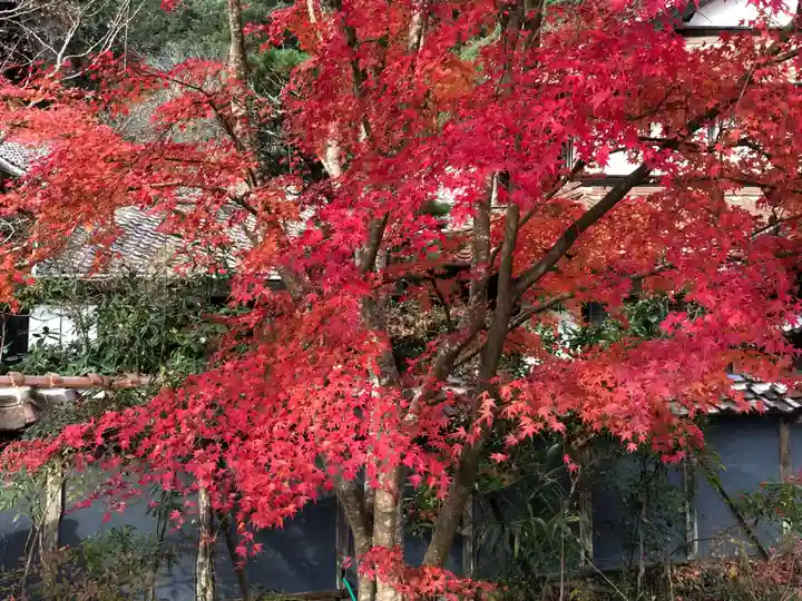 木舟山 順教寺の自然