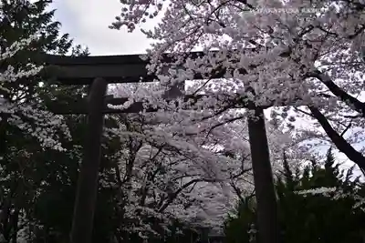 冨士御室浅間神社(山梨県)