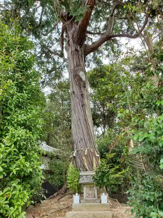 櫨谷神社のその他建物