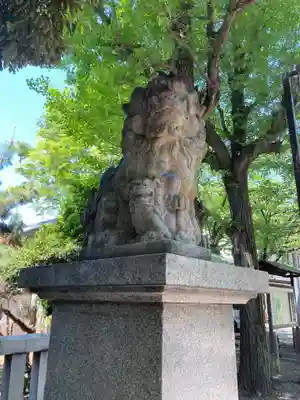 亀戸 香取神社の狛犬