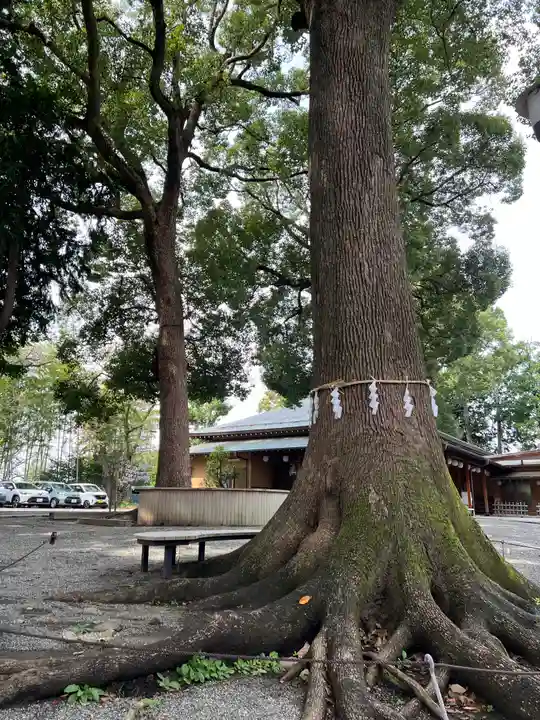星川杉山神社(神奈川県)