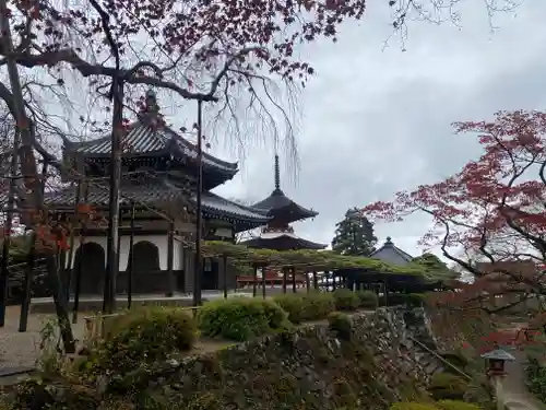 善峯寺(京都府)