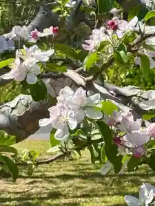 蚊里田八幡宮(長野県)(2025年05月01日(木) 11時52分40秒投稿)