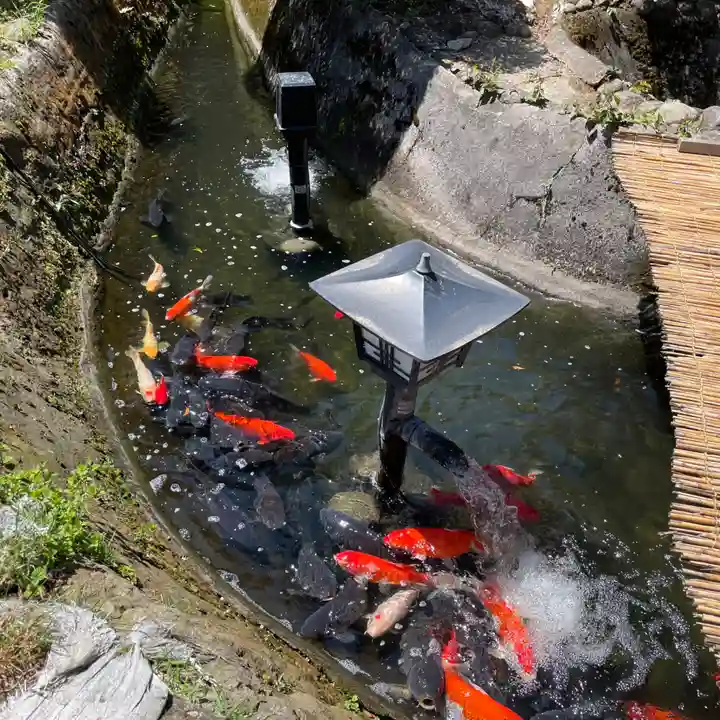 神野寺(千葉県)
