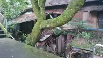 四度瀧不動明王(茨城県)