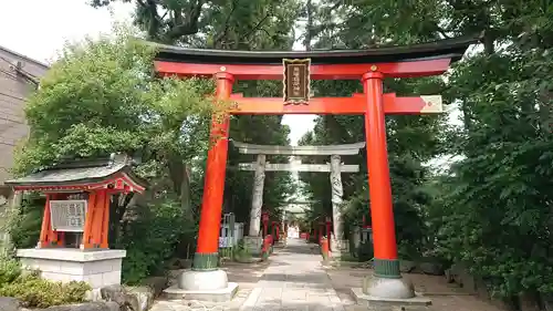 馬橋稲荷神社の鳥居