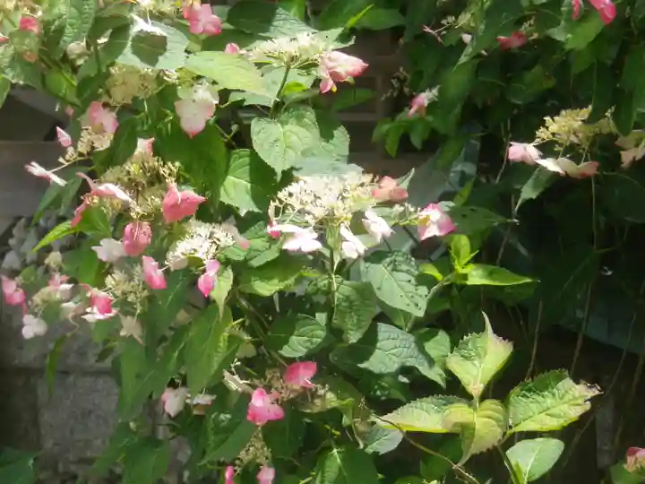 御霊神社の自然