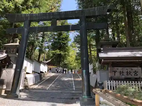 諏訪大社下社秋宮の鳥居