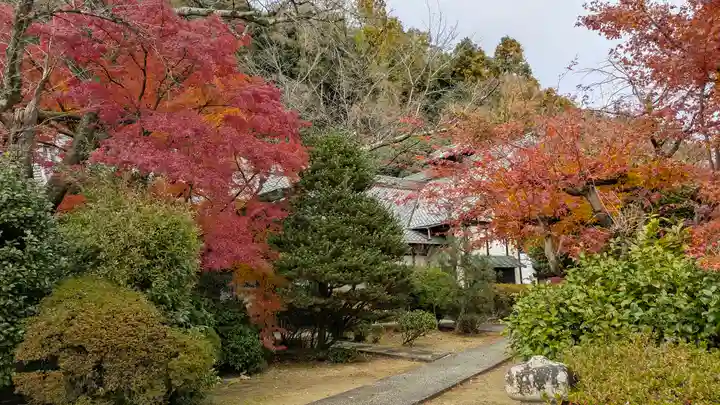 観音寺(山崎聖天)(京都府)