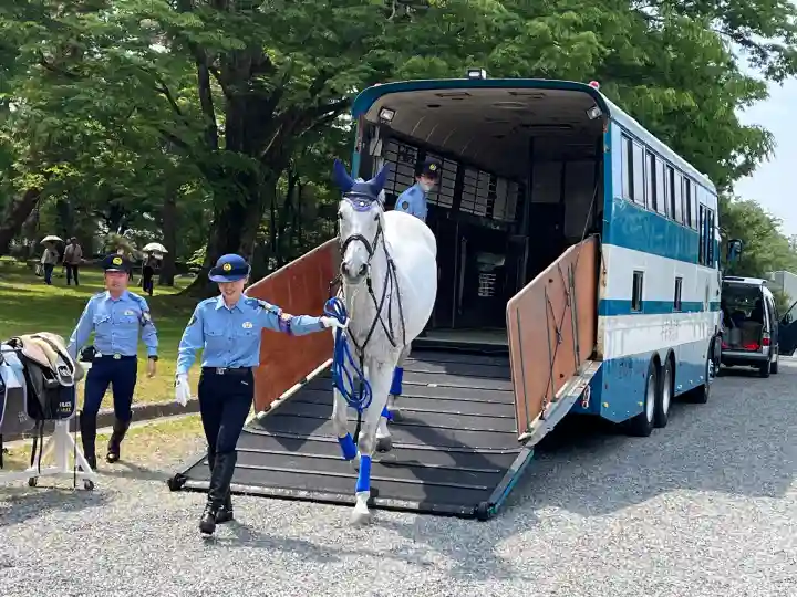 賀茂御祖神社(下鴨神社)(京都府)