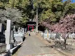 物部神社（石和町松本）(山梨県)