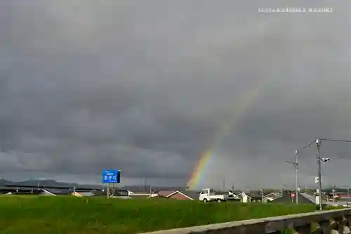 万九千社の自然