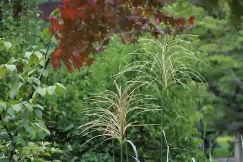 開成山大神宮の庭園