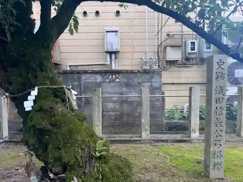 手力雄神社の自然