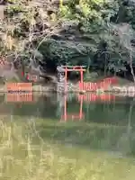 八大龍王弁財天大神(奈良県)
