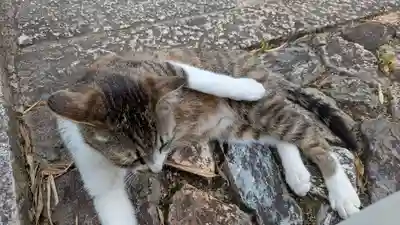 寳塔寺（宝塔寺）(京都府)
