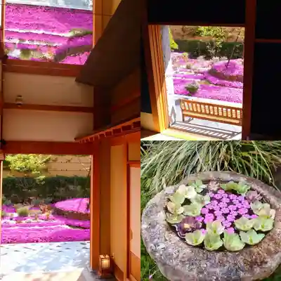 寿量山 速成寺(奈良県)