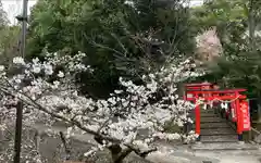 粉河寺(和歌山県)