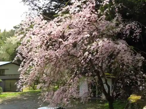 八幡宮來宮神社の建物その他