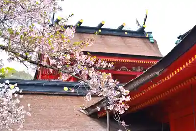 富士山本宮浅間大社(静岡県)