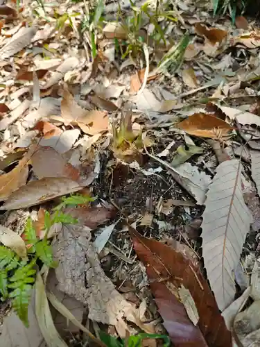 垂水神社(大阪府)