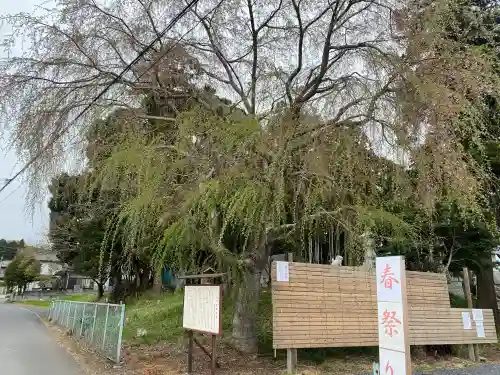 台渡里八幡神社(茨城県)