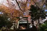愛宕神社の鳥居