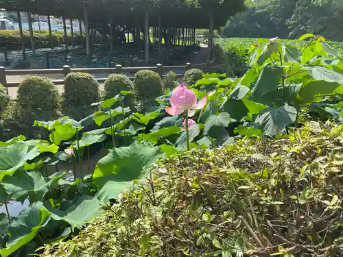 報徳二宮神社(神奈川県)
