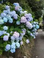 二伝寺(ニ傳寺)(神奈川県)
