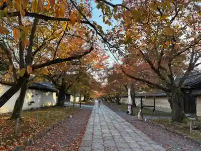 醍醐寺(京都府)