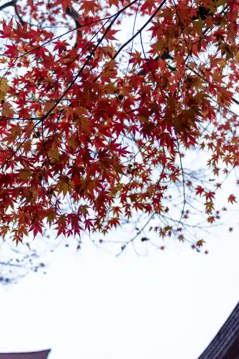 宗像大社(福岡県)