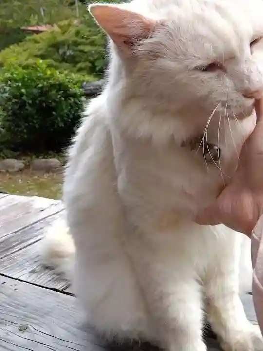 光珠院(埼玉県)