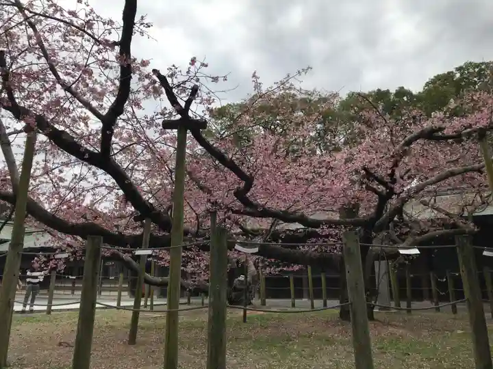 宮地嶽神社(福岡県)