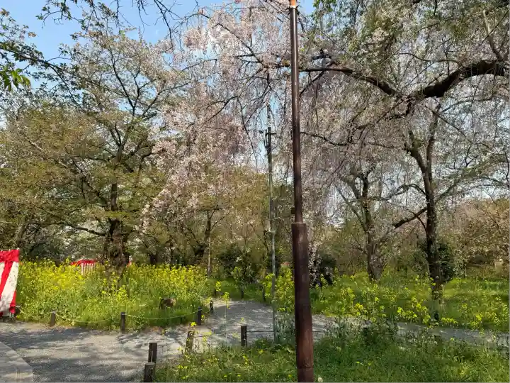平野神社(京都府)